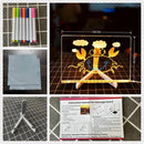 Divertida Lousa Neon